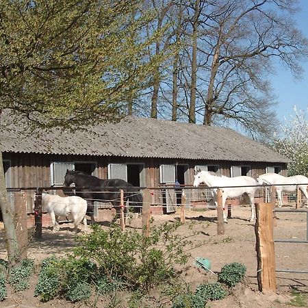 Willa Ferienhof Schmidt Ankum Zewnętrze zdjęcie