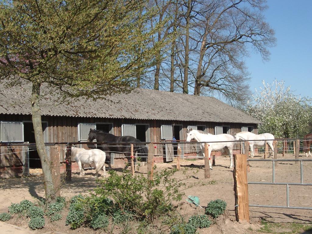 Willa Ferienhof Schmidt Ankum Zewnętrze zdjęcie